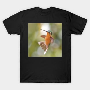 Hummingbird Acrobatics T-Shirt